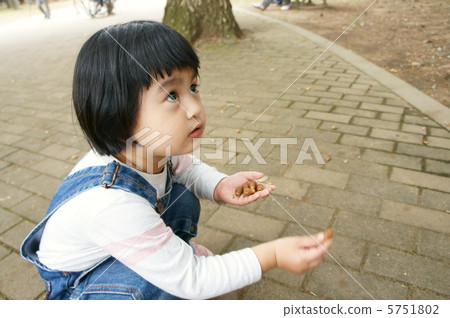 一個女孩拿起橡子 一個女孩拿起橡子 5751802
