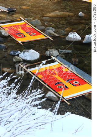 鯉魚飄帶寒冷的天氣 鯉魚飄帶寒冷的天氣 5752090