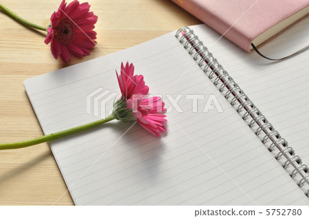 粉色非洲菊和筆記本 5752780