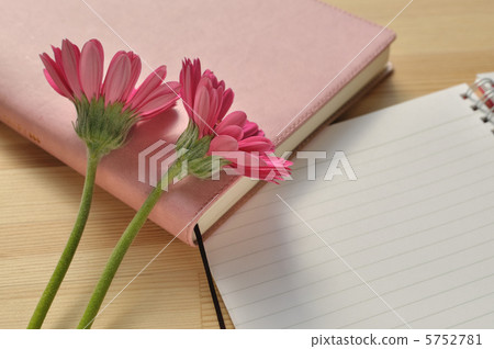 粉色非洲菊和筆記本 5752781