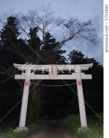 村公司 村公司 5753892