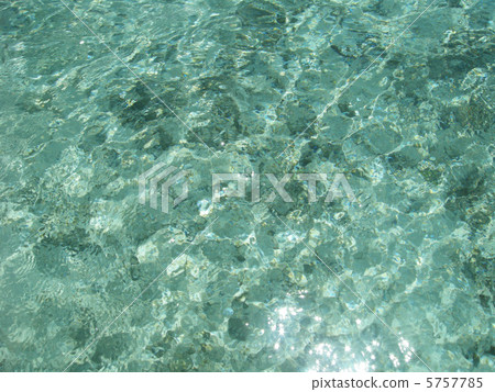 The sea of Palau The sea of Palau 5757785