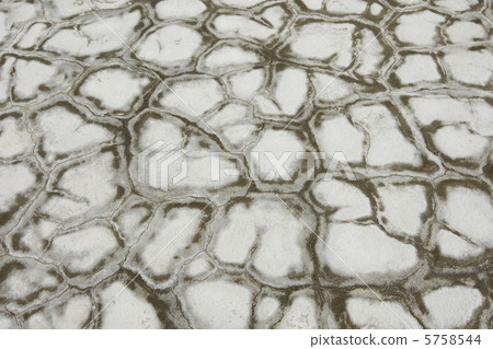 Grey ground Grey ground 5758544