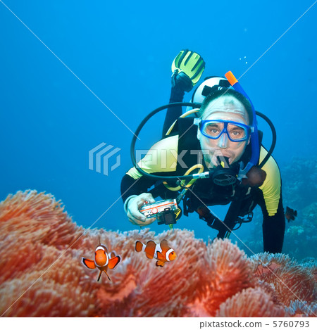 Clownfishes and photographer 5760793