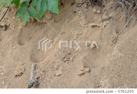 螞蟻山 螞蟻山 5761205