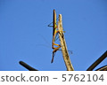 Mantis capturing prey 5762104
