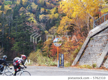 Cycling _ Autumn leaves _ Norikura Kogen 5762310