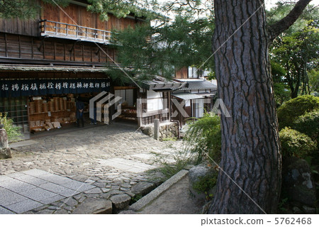 杉樹和槽櫪歷史的都市風景 5762468