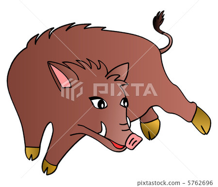 Boar of wild boar 5762696