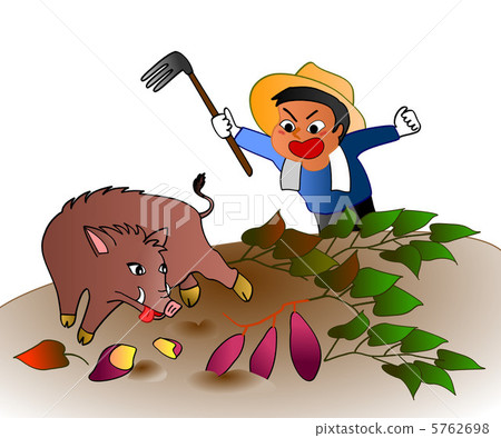Wild boar field tampering Wild boar field tampering 5762698