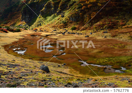 Autumnal leaves of blood Autumnal leaves of blood 5762776