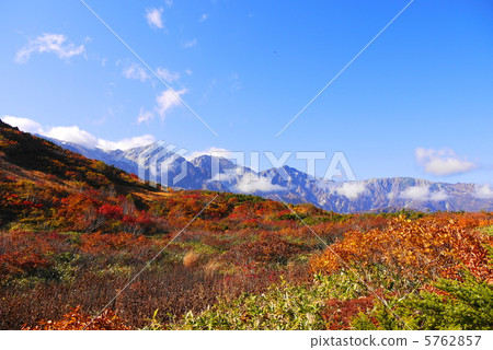 Hakuba Miyama 5762857