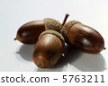 Acorn 5763211