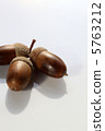 Acorn 5763212
