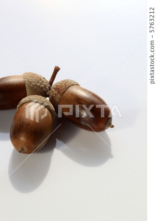 Acorn 5763212