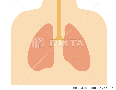 Lung 5763246