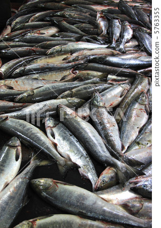 煎三文魚 5763355