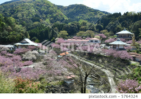 Ichinodera Temple Button Zakura 5764324
