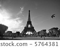 Paris ~ Paris ~ Pigeons ~ 5764381