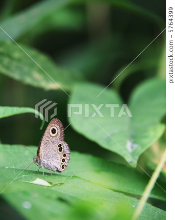 在休息期間 5764399