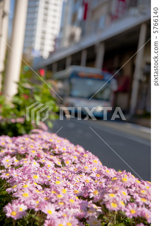 小岩的花道 5766140