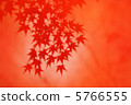 Autumn leaves 33 5766555