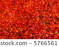 Autumn leaves 27 5766561