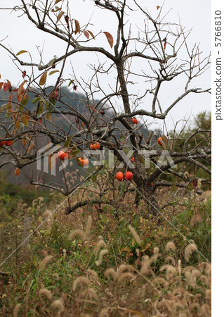 Autumn of village 5766810