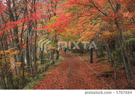 紅色人行道 紅色人行道 5767884