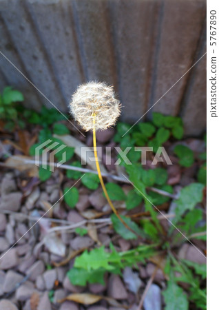 Warm weather Warm weather 5767890