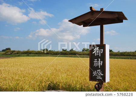 Autumn festival Shinto and golden rice ear Higashi Ward, Okayama City, Okayama Prefecture 5768228
