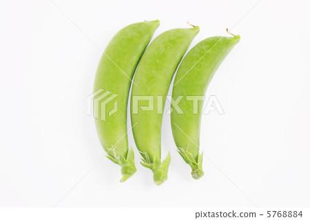 豌豆 5768884