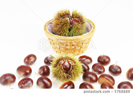 Autumn taste · chestnut 5768889