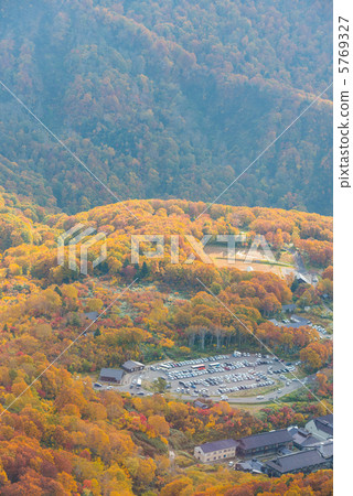 Autumn leaves in the vicinity of parking lot of acid acid hot springs 5769327