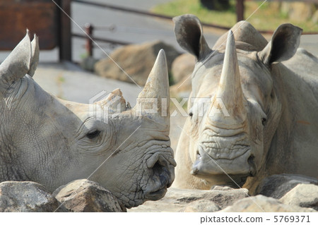 滅絕危機 5769371