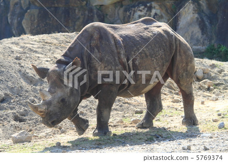 滅絕危機 5769374