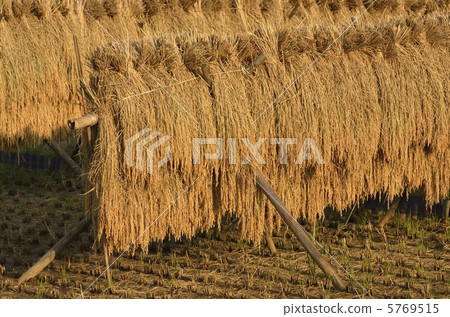 Inland rack shining in the sunset 5769515