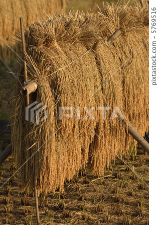 Inland rack shining in the sunset 5769516