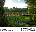 Evening of the park 5770412