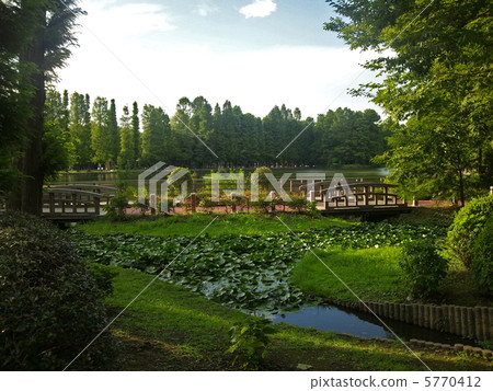 公園的晚上 5770412