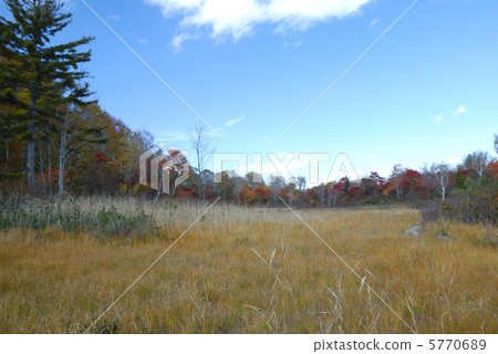 落在福島komago沼澤地 落在福島komago沼澤地 5770689