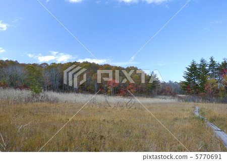 落在福島komago沼澤地 5770691