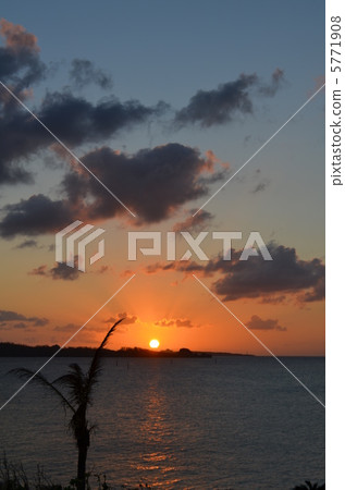 沖繩島和海和棕櫚3日落 沖繩島和海和棕櫚3日落 5771908