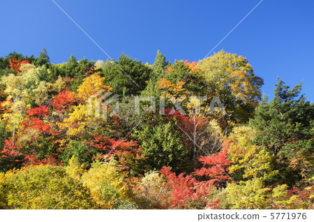 Autumn leaves of Takayama village Autumn leaves of Takayama village 5771976