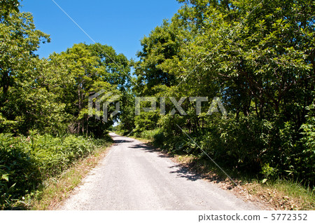 Road to Okhotsk Road to Okhotsk 5772352