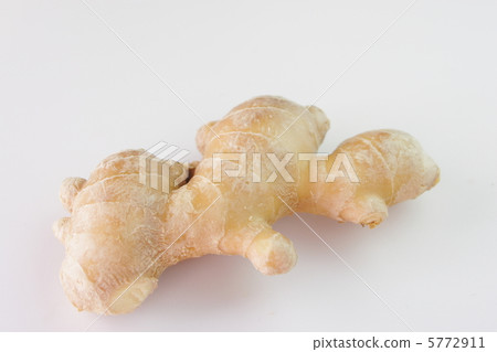 生薑姜 5772911