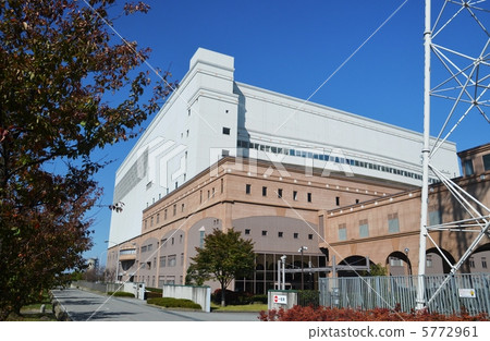 Huge cleaning plant 5772961