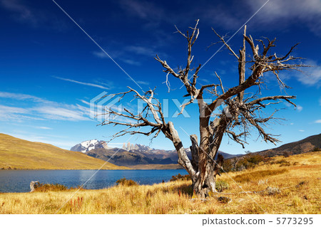 Laguna Azul, Patagonia, Chile 5773295