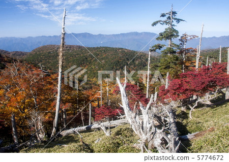 Autumn leaves of Otamekegara Autumn leaves of Otamekegara 5774672