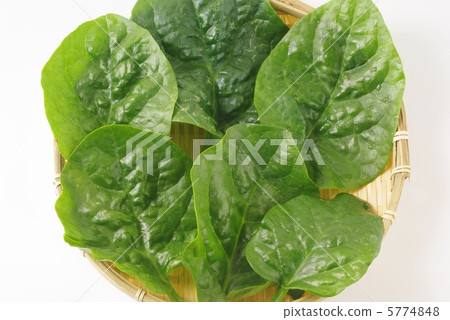 Tsurumurasaki 5774848